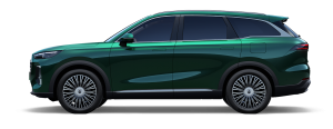 TIGGO 9